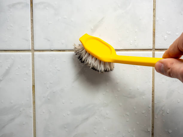 Best Fast Mold Removal  in Pearl City, HI