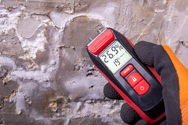 Best Black Mold Removal  in Pearl City, HI