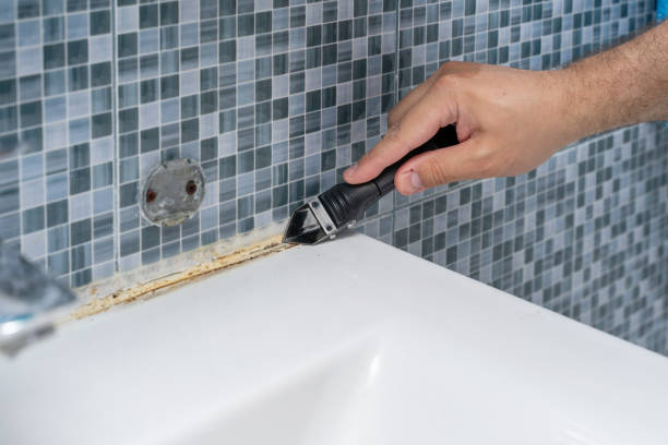 Best Toxic Mold Removal  in Pearl City, HI