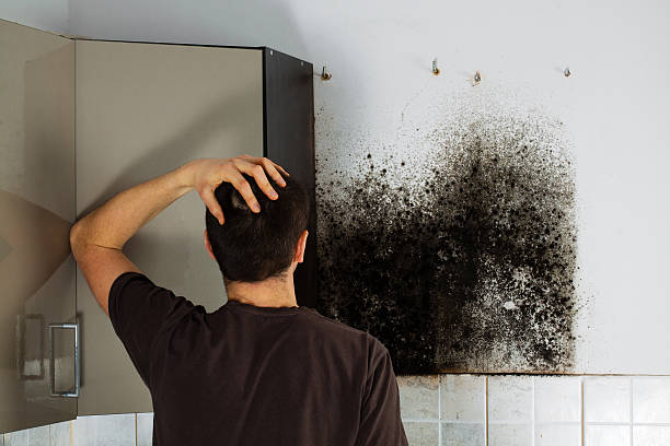 Best Crawl Space Mold Removal  in Pearl City, HI